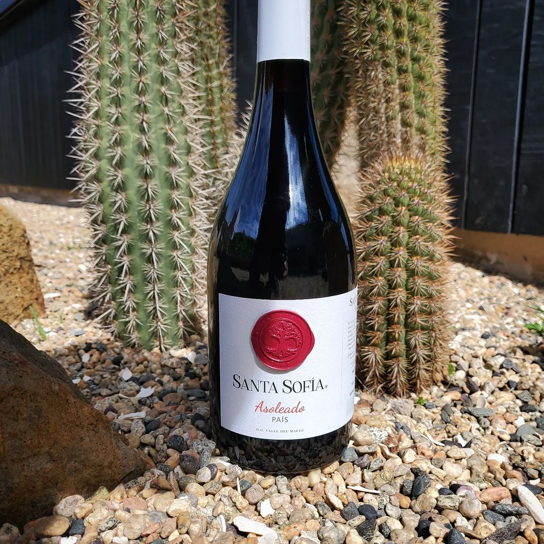 Santa Sofia Single Vineyard Reserva País