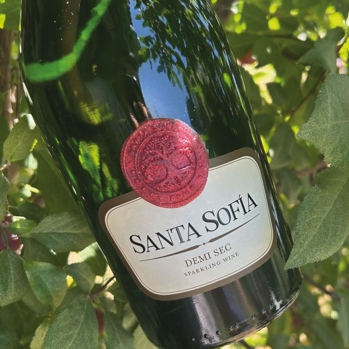 Santa Sofia Sparkling Wine Demi Sec