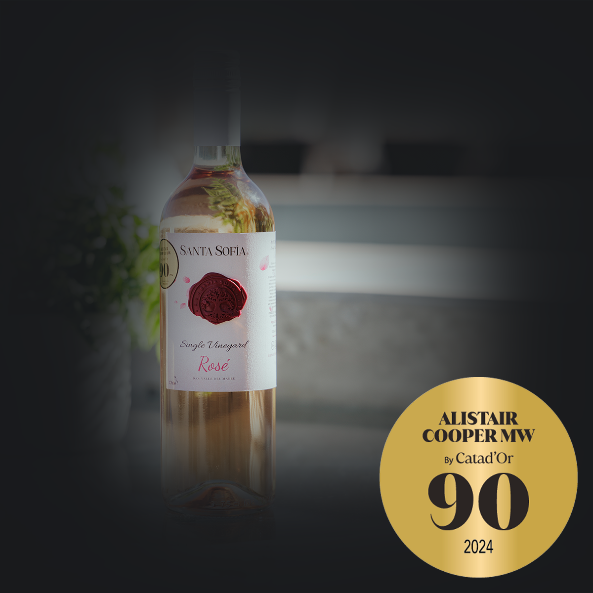 Single Vineyard Rosé